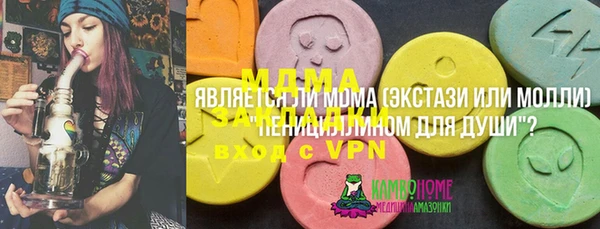 ПСИЛОЦИБИНОВЫЕ ГРИБЫ Верея